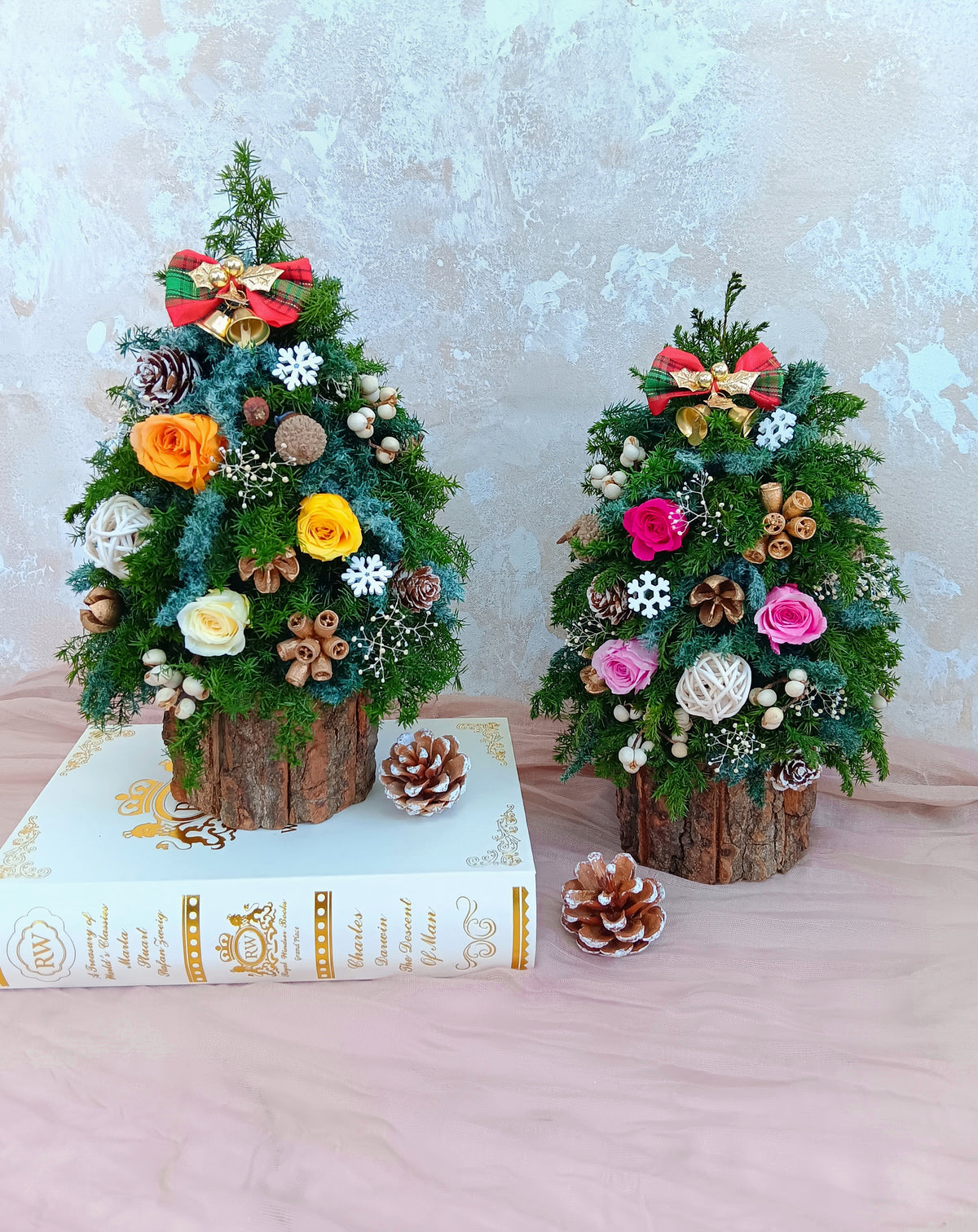 聖誕限定workshop(聖誕樹)🎅🙌