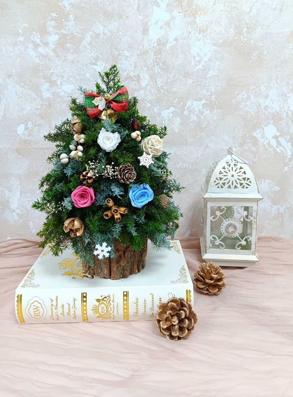 聖誕限定workshop(聖誕樹)🎅🙌