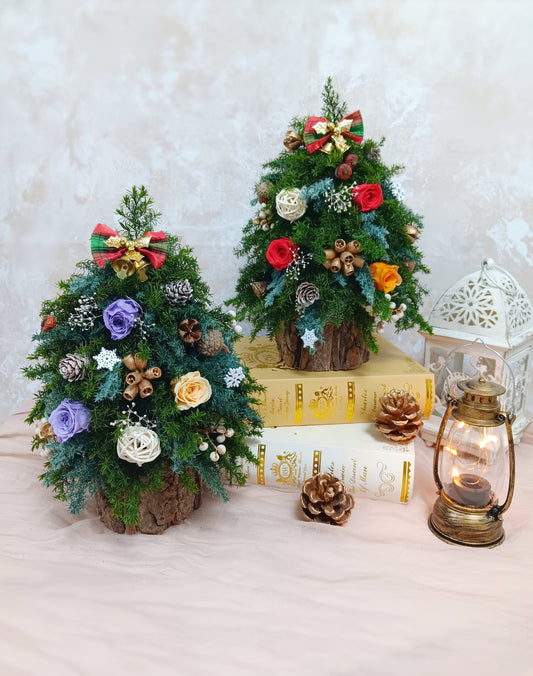 聖誕限定workshop(聖誕樹)🎅🙌